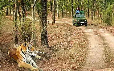 Corbett National Park